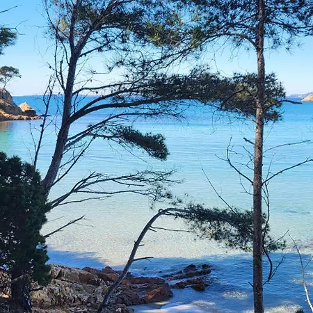 Nature La Londe-les-Maures